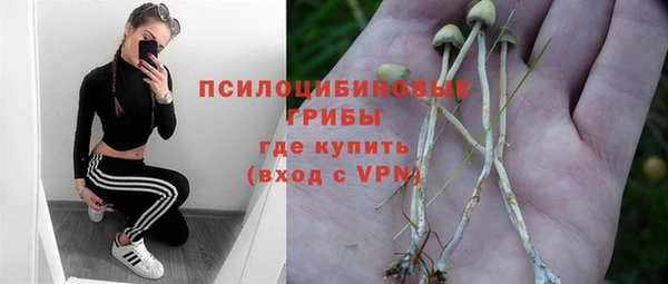 шишки Белокуриха