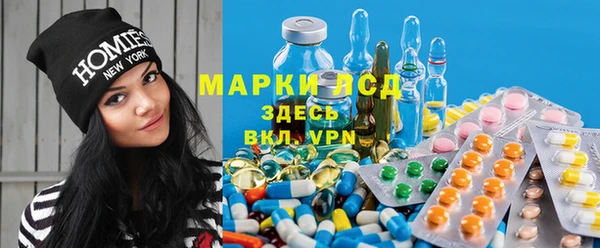 шишки Белокуриха