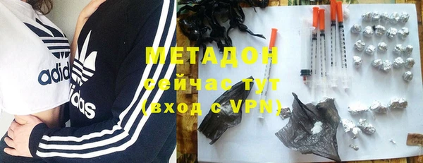 шишки Белокуриха