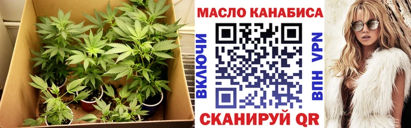 как найти закладки Княгинино Дистиллят ТГК концентрат
