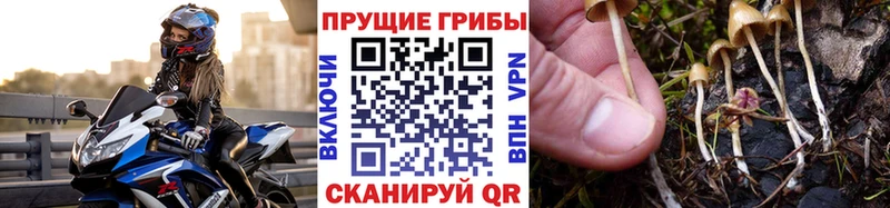 Псилоцибиновые грибы мухоморы  Княгинино 